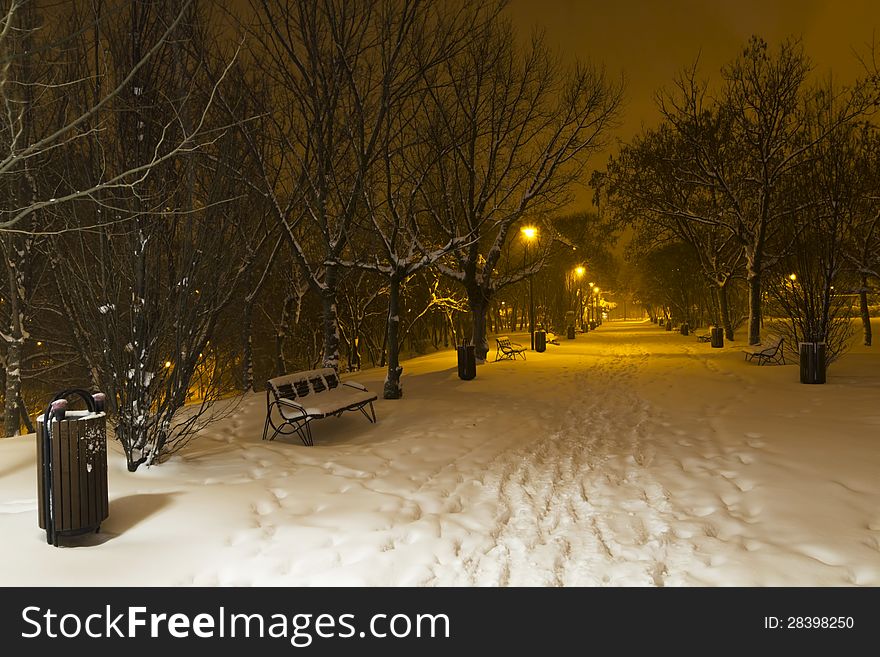 Winter in the park by night