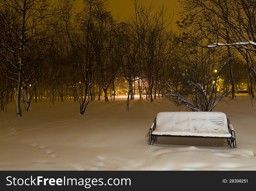 Snowy bench in the park