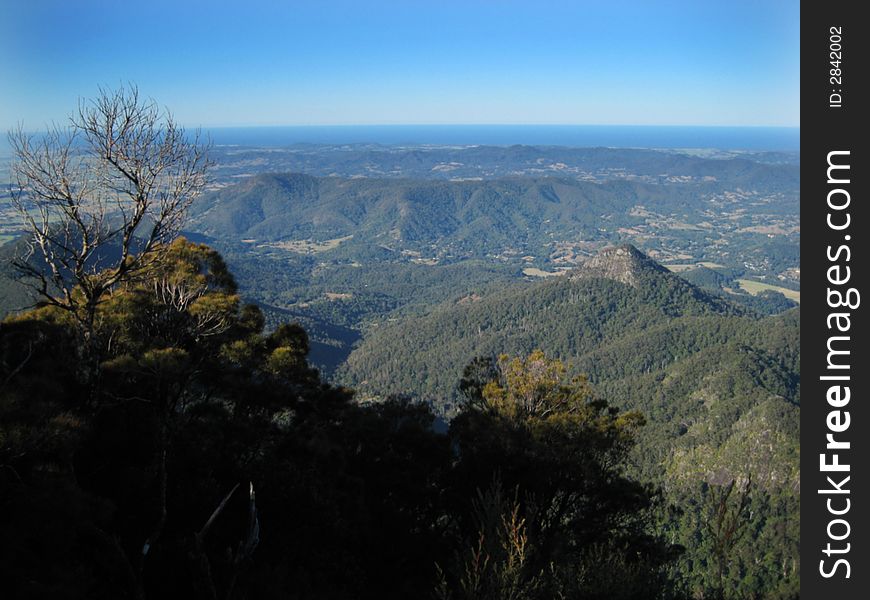 View From Mount Warning