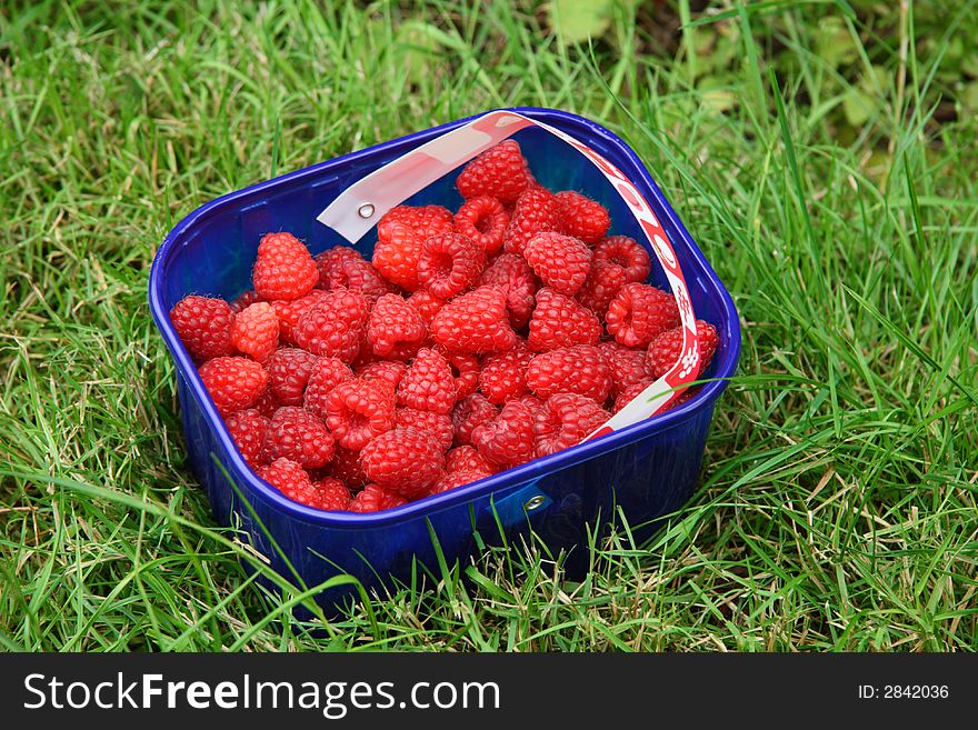Basket full of raspberries on grass