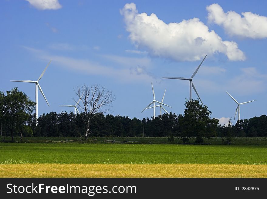 Windmills for generating of electricity. Windmills for generating of electricity.