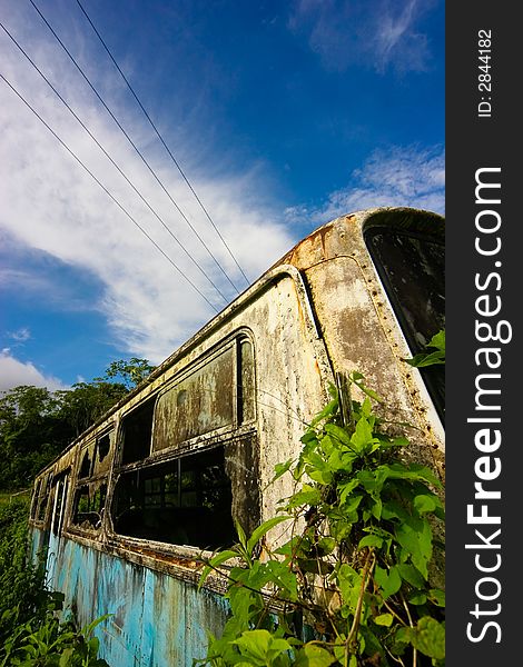 Old abandoned overgrown bus. The background is beautiful blue.