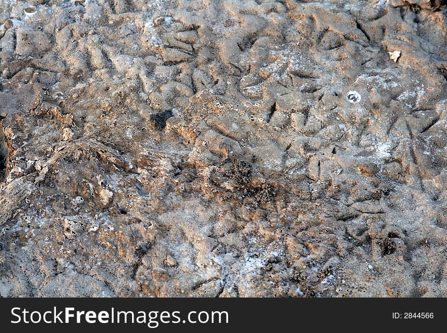 Abstract - Soil Background