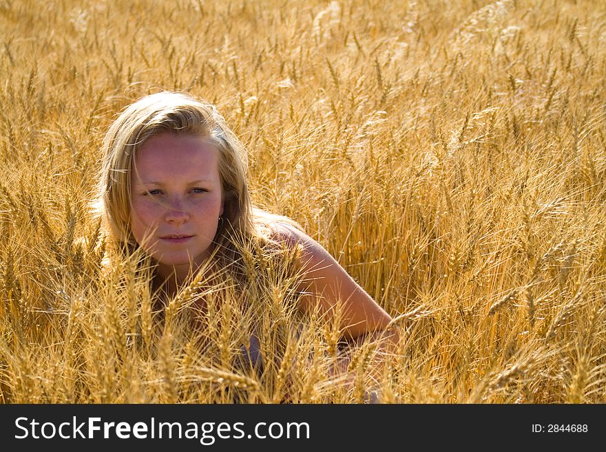 Pretty Woman In Wheat Field