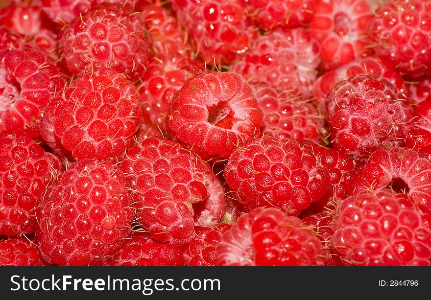 A lot of red ripe raspberries