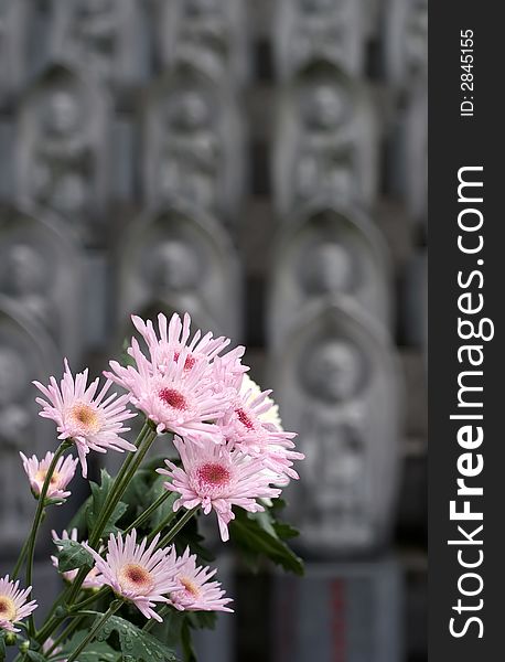 Selective focus on Flowers at a Shinto Shrine in Kyoto, Japan. Selective focus on Flowers at a Shinto Shrine in Kyoto, Japan