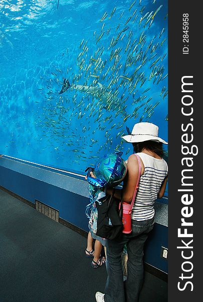 Woman and child looking fish in a huge aquarium tunnel