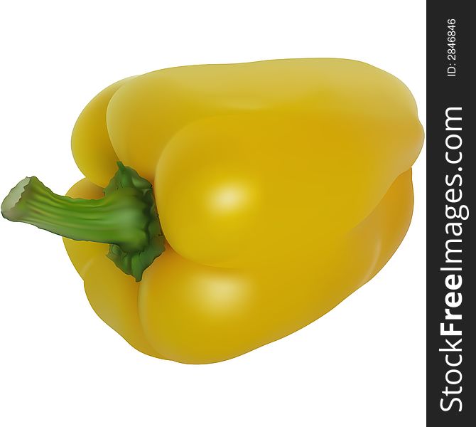 Yellow Pepper - Highly detailed and coloured vector illustration