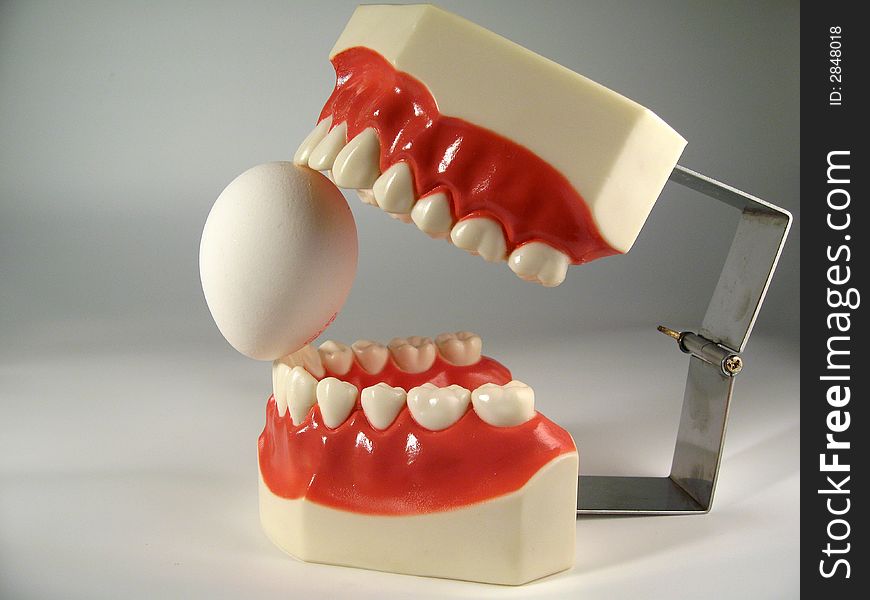 Teeth model