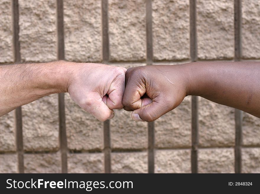 A white fist and a black fist touching to show unity. A white fist and a black fist touching to show unity