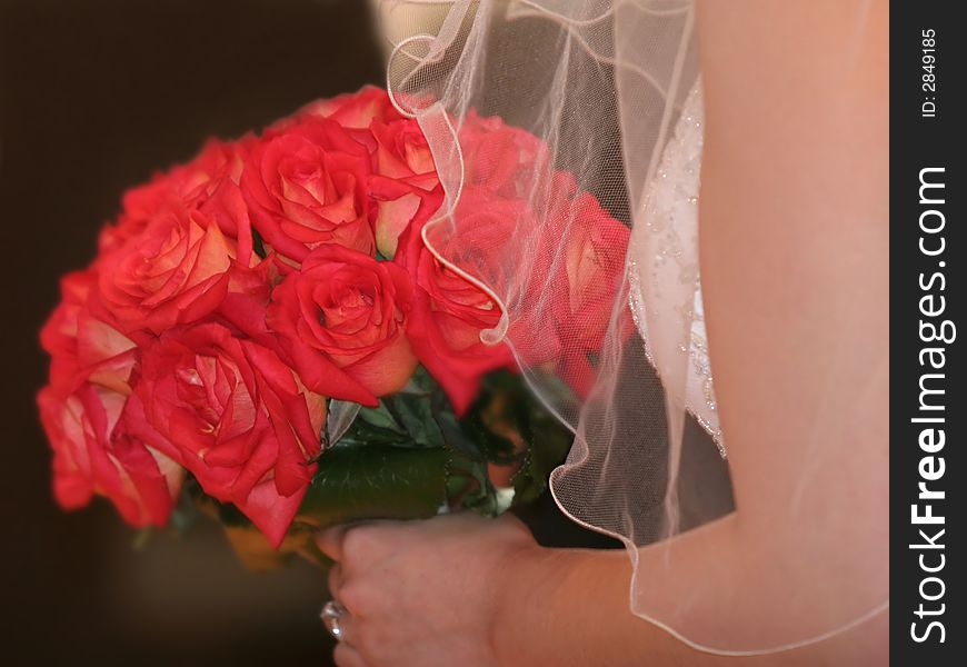 Bride holding red roses bouquet. Bride holding red roses bouquet