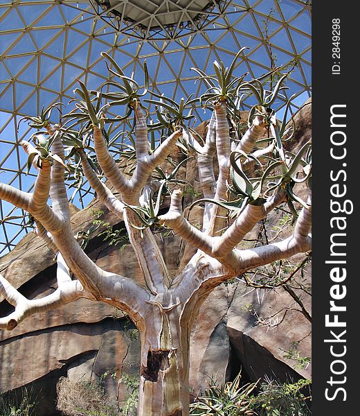 This image was taken in the desert at the zoo. This image was taken in the desert at the zoo.