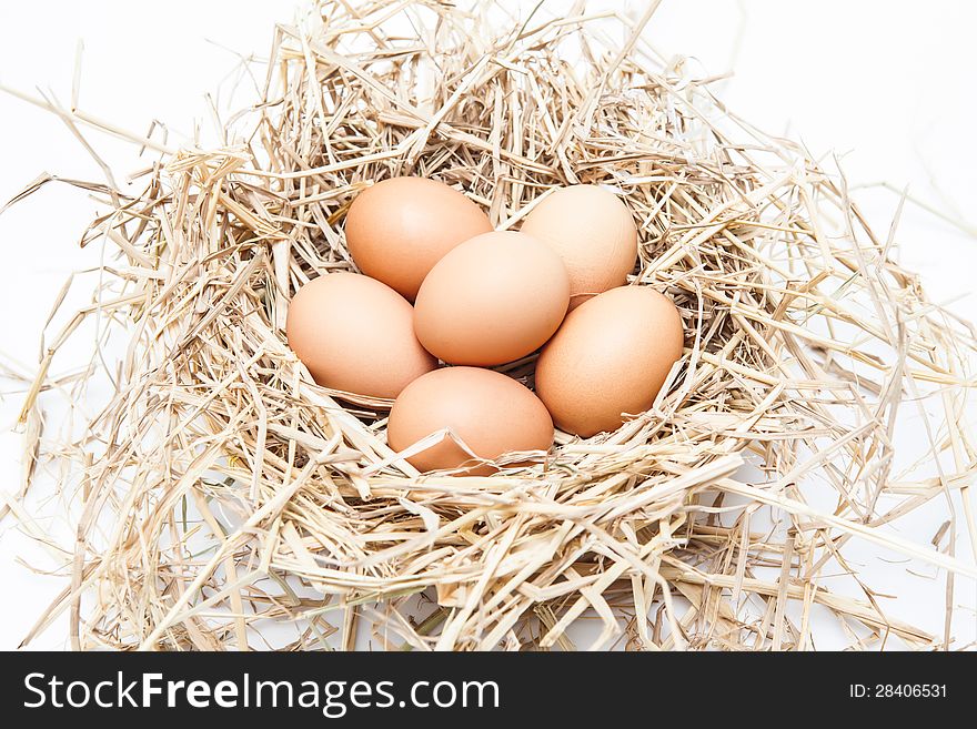 Brown eggs at hay nest.