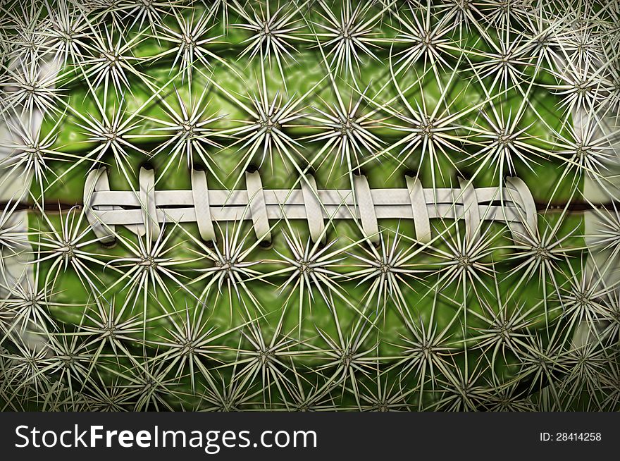 Digital illustration of a football-shaped cactus. Digital illustration of a football-shaped cactus.