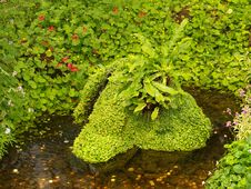 Green Fountain Coins In The Park Royal Gardens Royalty Free Stock Photography Green Fountain Coins In The Park Royal Gardens Royalty Free Stock Photography