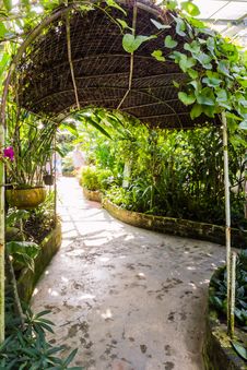Tunnel Shape Walk Way In Butterfly Garden Stock Image Tunnel Shape Walk Way In Butterfly Garden Stock Image