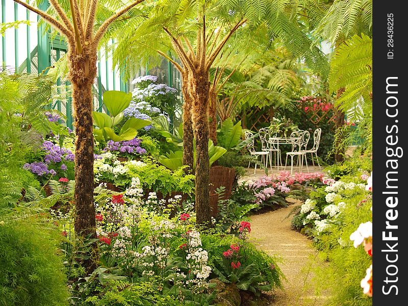 Chairs- A bunch of tropical flowers with an antique with table and 4 chairs. A romantic place with everything in perfect condition. royal conservatory in Brussels Belgium. Chairs- A bunch of tropical flowers with an antique with table and 4 chairs. A romantic place with everything in perfect condition. royal conservatory in Brussels Belgium.