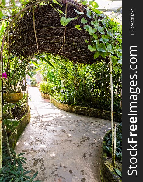 Tunnel Shape Walk Way In Butterfly Garden