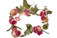 Improvised Wreath With Dry Roses And Petals Royalty Free Stock Images Improvised Wreath With Dry Roses And Petals Royalty Free Stock Images