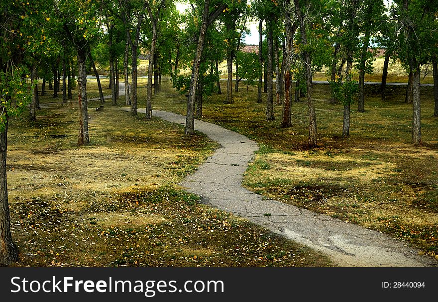 A meandering path through a park. A meandering path through a park