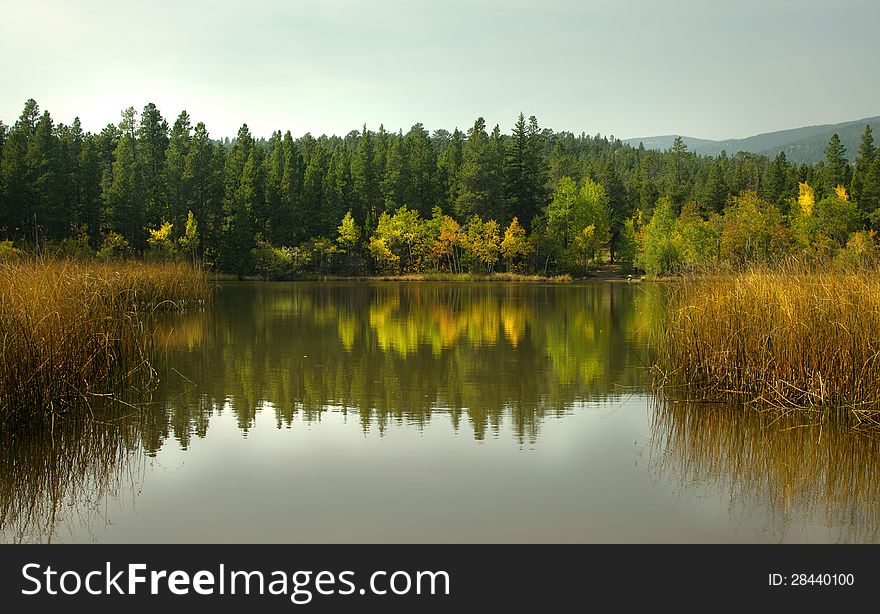 An Autumn forest reflected in the Lake. An Autumn forest reflected in the Lake
