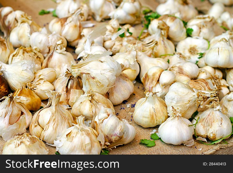 Big pile of organically grown raw garlic