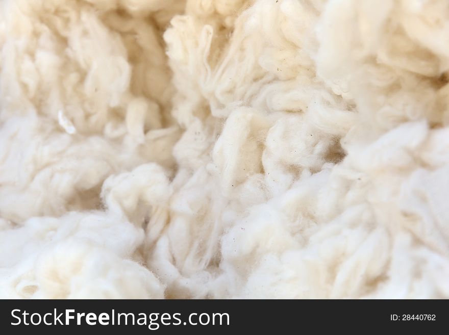 Close up of cotton wool background