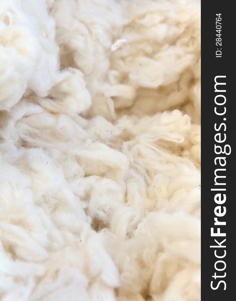 Cotton Wool Background