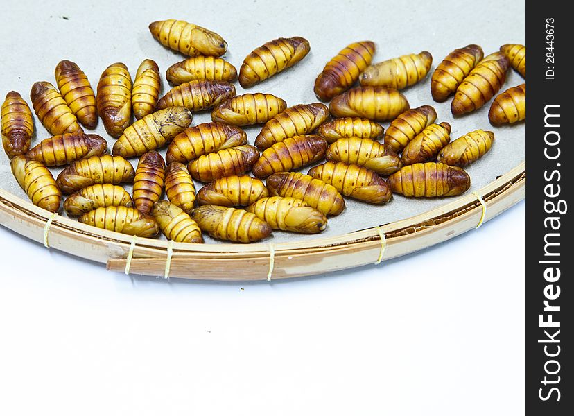 Chrysalis silkworm used for silk. Chrysalis silkworm used for silk