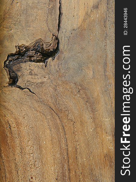 Wood texture on vertical position