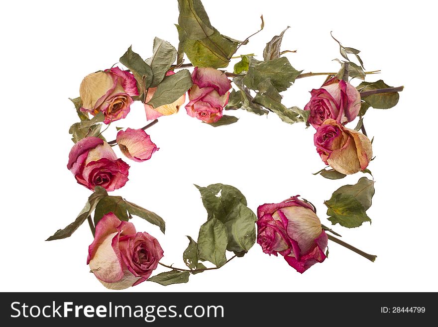 Improvised wreath with dry roses and petals isolated on white.