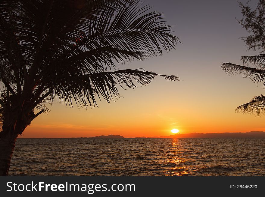 Sunset at sea. Silhouettes of palm trees at sunset.