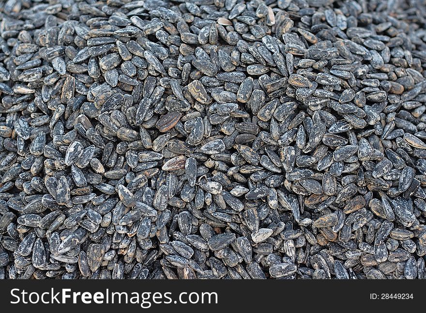 Closeup of sunflower seeds textured background