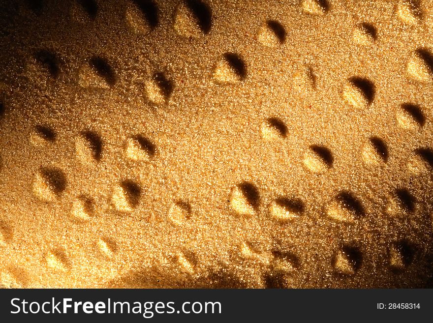 Abstract sand surface with drops. Good background. Abstract sand surface with drops. Good background