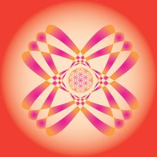 Flower Of Life Seed Mandala Stock Photography Flower Of Life Seed Mandala Stock Photography