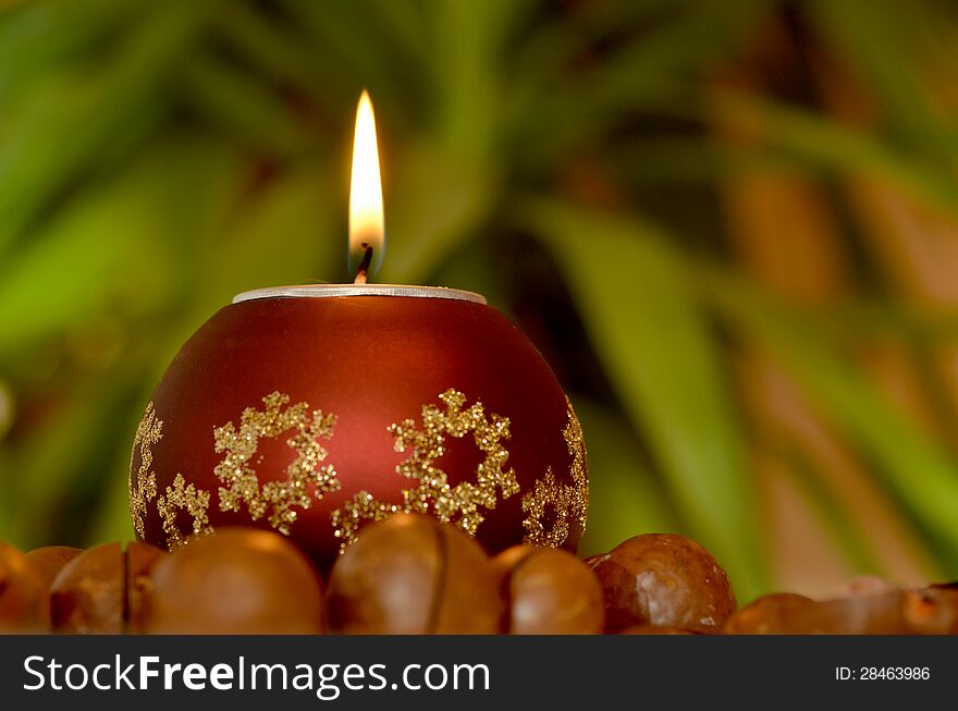 Christmas candle, macadamia nuts on green background.