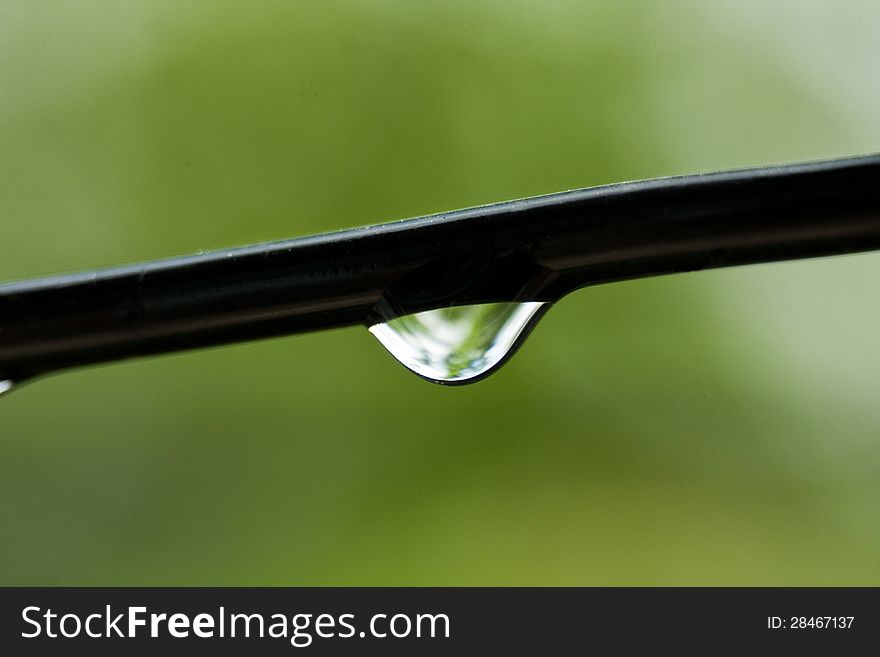 Raindrops on the wire with green background