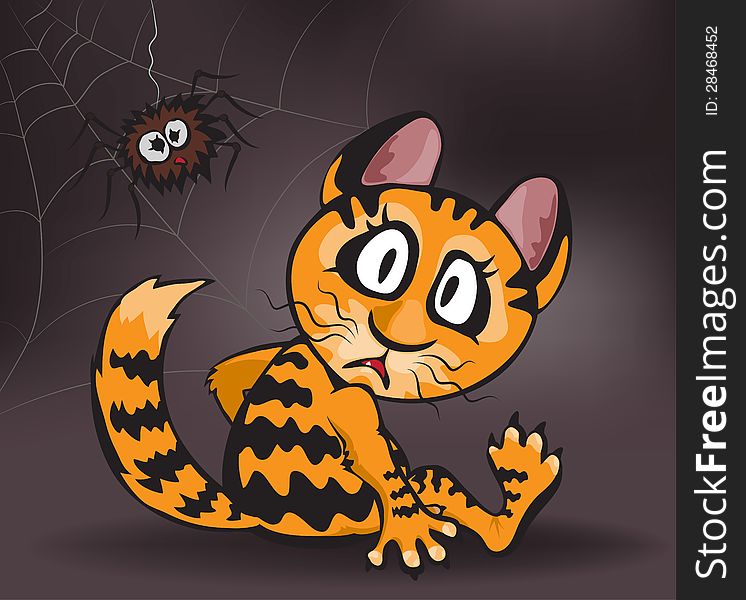 Ginger Cat And Spider