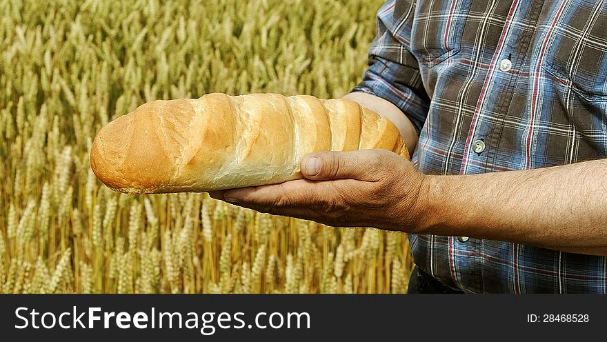 Man with bread on the wheat field. Man with bread on the wheat field.