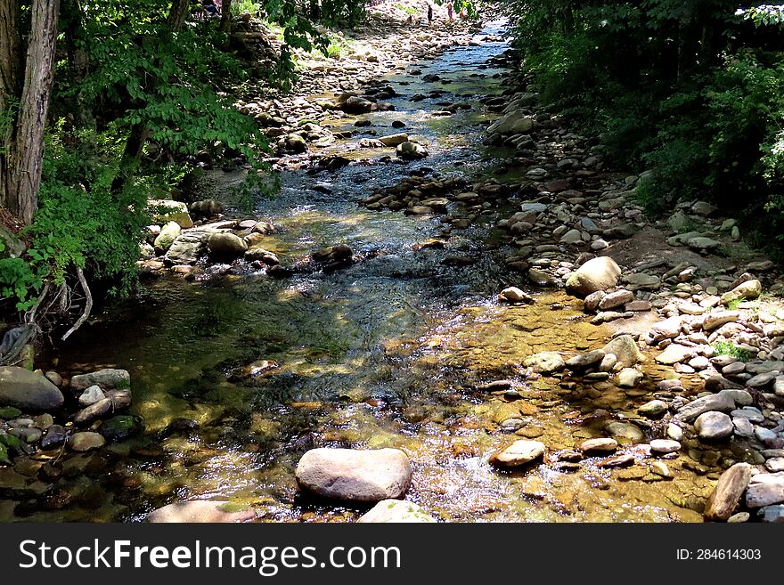 A Picture Of A Stream