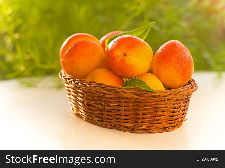 Fresh apricot-healthy fresh fruit