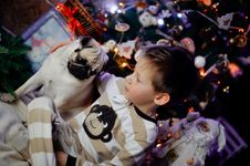 The Boy With A Pug Stock Photography