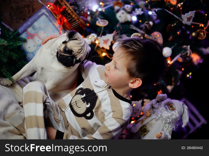 The boy in a night suit under an elegant fur-tree with a pug. The boy in a night suit under an elegant fur-tree with a pug