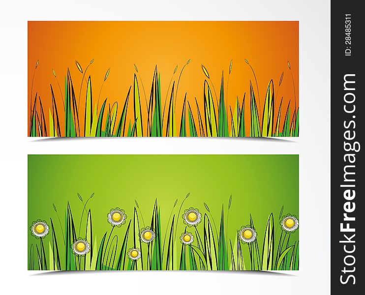 Two color background with grass and flowers