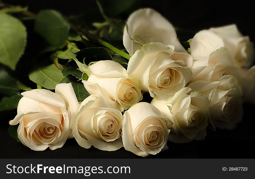 A dozen long stem white roses. A dozen long stem white roses