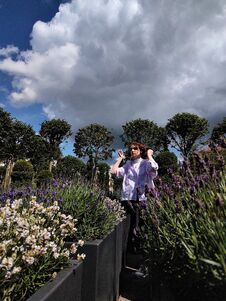 Girl Among Purple Lavender Bushes Royalty Free Stock Images Girl Among Purple Lavender Bushes Royalty Free Stock Images