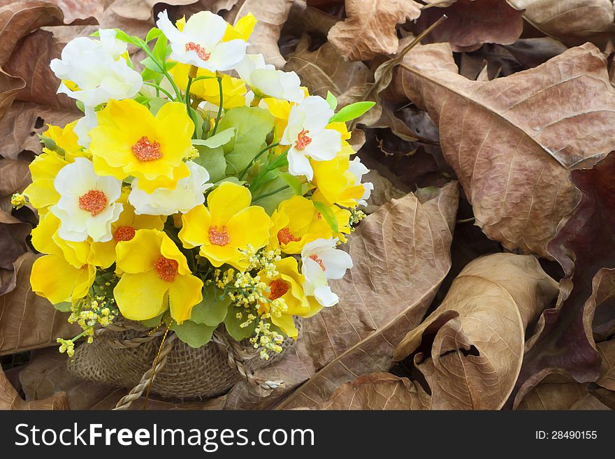 Yellow Flower And  Leaves