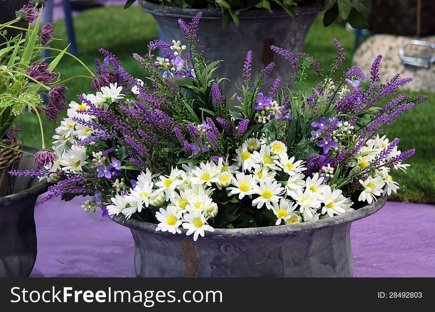 Early springtime flowers salvia blue and white daisy in to the vase. Early springtime flowers salvia blue and white daisy in to the vase.