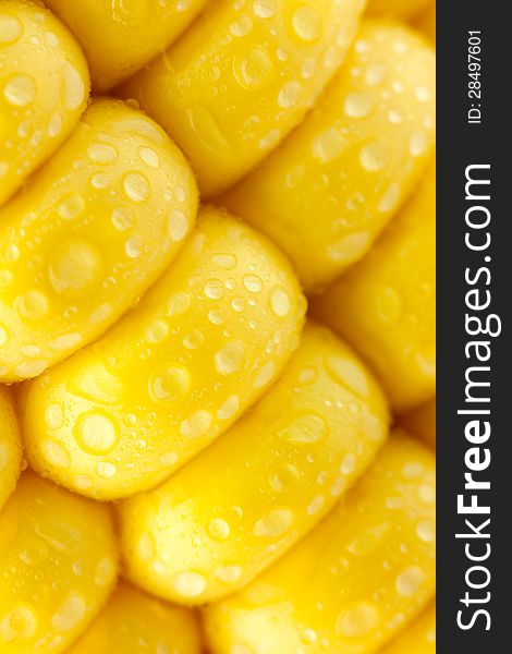 Grains of Ripe Corn with Water Droplets / diagonal / Extreme Macro / Yellow background