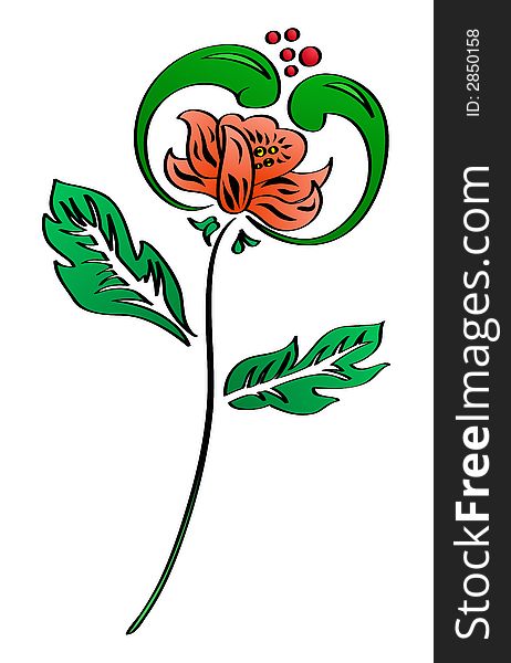 The vector image of a flower isolated on a white background